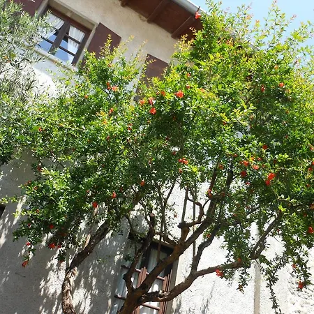 Cassinazza Séjour à la ferme Orsenigo