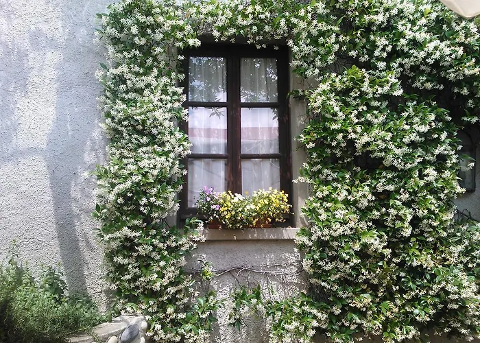 Bauernhof Cassinazza