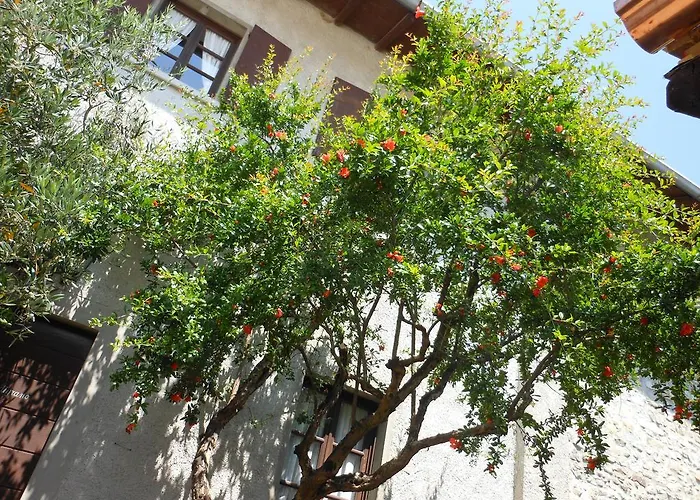 Cassinazza Vakantieboerderij Orsenigo