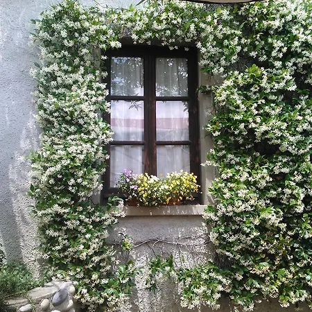 Alloggio per agriturismo Cassinazza