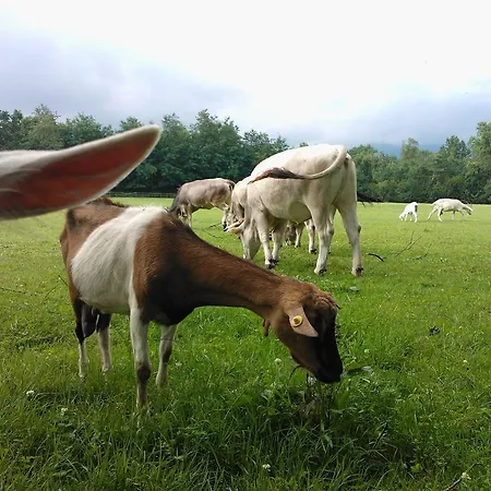 Alloggio per agriturismo Cassinazza *